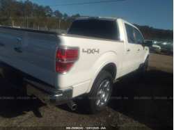 FORD F-150 1FTFW1EF6DKE59684