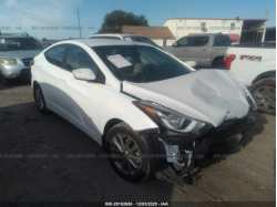 HYUNDAI ELANTRA 5NPDH4AE0EH517563