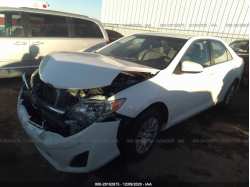 TOYOTA CAMRY 4T1BF1FK0CU515367