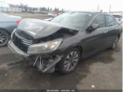 HONDA ACCORD SDN 1HGCR2F34DA184926