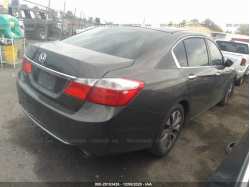 HONDA ACCORD SDN 1HGCR2F34DA184926