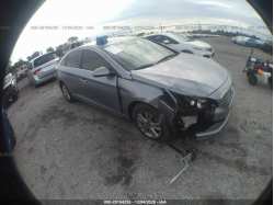 HYUNDAI SONATA 5NPE24AF8HH531844