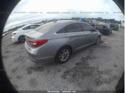 HYUNDAI SONATA 5NPE24AF8HH531844