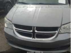 DODGE GRAND CARAVAN 2C4RDGBGXER141346