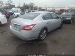 NISSAN MAXIMA 1N4AA5AP1BC804552