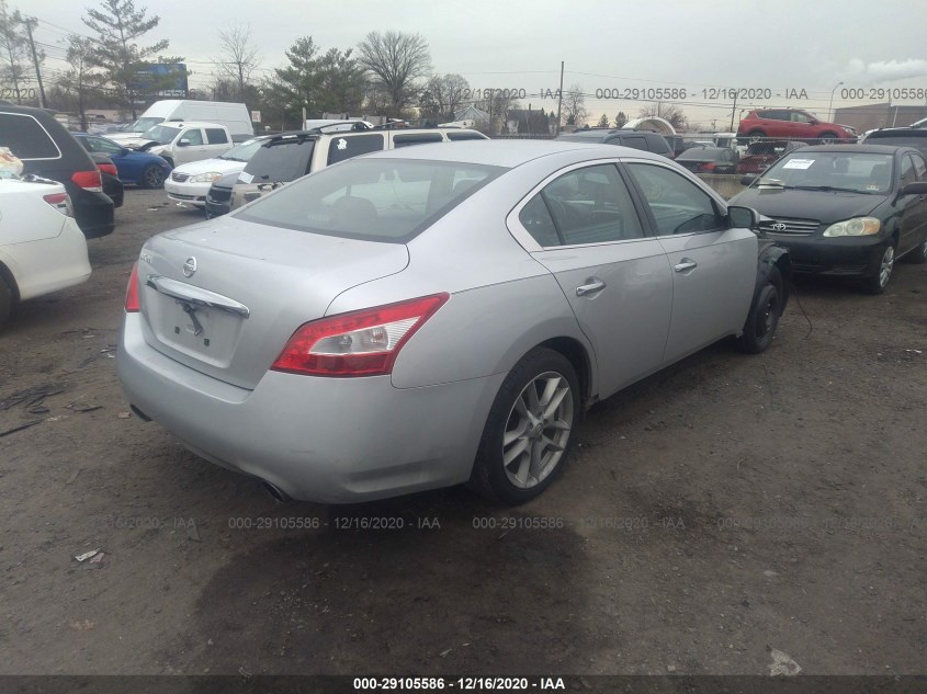 NISSAN MAXIMA 1N4AA5AP1BC804552