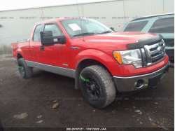 FORD F-150 1FTFX1ET4BFC32745
