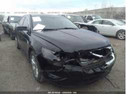 FORD TAURUS 1FAHP2HW8CG124263