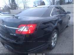 FORD TAURUS 1FAHP2HW8CG124263