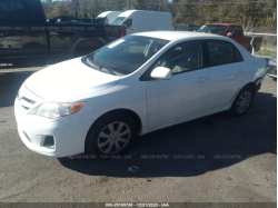 TOYOTA COROLLA JTDBU4EE9BJ099424