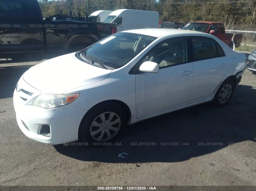 TOYOTA COROLLA JTDBU4EE9BJ099424