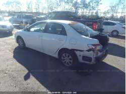 TOYOTA COROLLA JTDBU4EE9BJ099424
