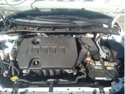 TOYOTA COROLLA JTDBU4EE9BJ099424