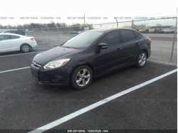 FORD FOCUS 1FADP3F26EL197128