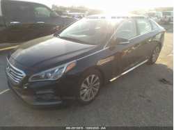 HYUNDAI SONATA 5NPE34AF2FH071574