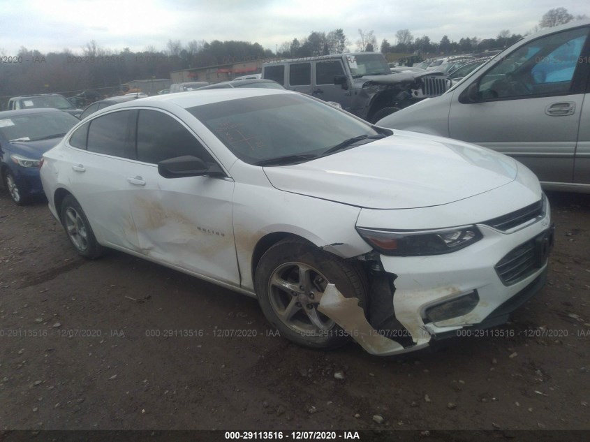 CHEVROLET MALIBU 1G1ZB5STXJF242582