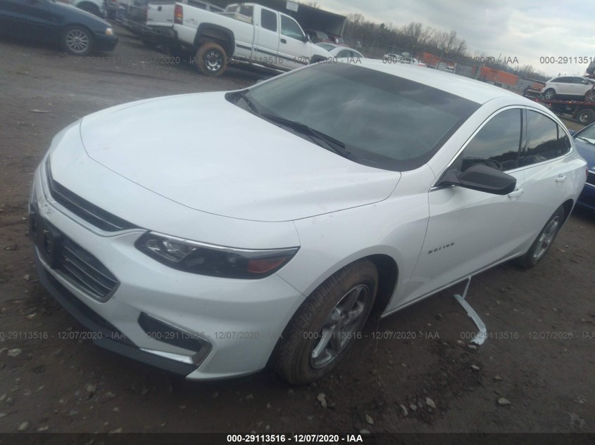 CHEVROLET MALIBU 1G1ZB5STXJF242582