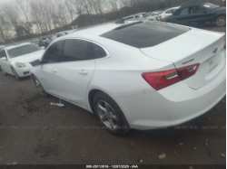 CHEVROLET MALIBU 1G1ZB5STXJF242582