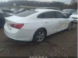 CHEVROLET MALIBU 1G1ZB5STXJF242582
