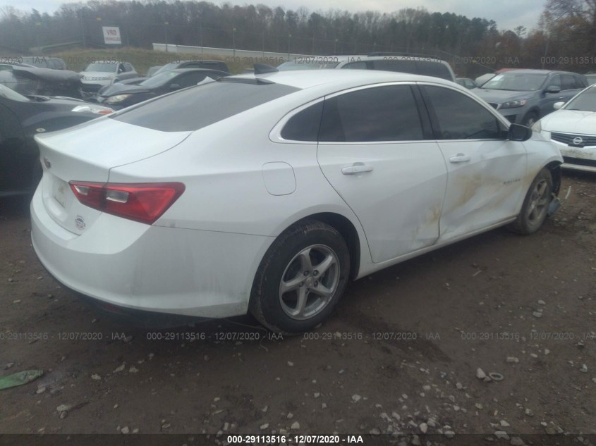 CHEVROLET MALIBU 1G1ZB5STXJF242582