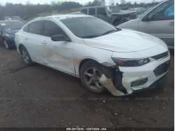 CHEVROLET MALIBU 1G1ZB5STXJF242582