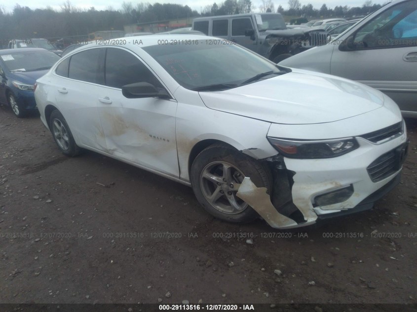 CHEVROLET MALIBU 1G1ZB5STXJF242582
