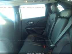 JEEP CHEROKEE 1C4PJLLB0LD585573