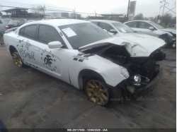 DODGE CHARGER 2C3CDXAT8DH668041