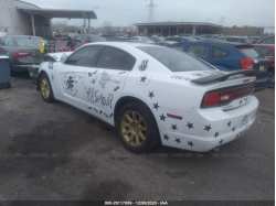 DODGE CHARGER 2C3CDXAT8DH668041