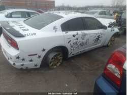 DODGE CHARGER 2C3CDXAT8DH668041