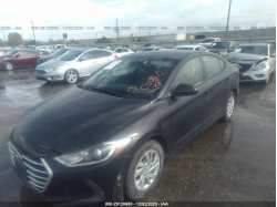 HYUNDAI ELANTRA KMHD74LF0HU096992