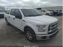 FORD F-150 1FTEW1CF5FKD11754