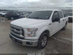 FORD F-150 1FTEW1CF5FKD11754