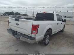 FORD F-150 1FTEW1CF5FKD11754