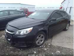 CHEVROLET MALIBU 1G11B5SL8FF102437