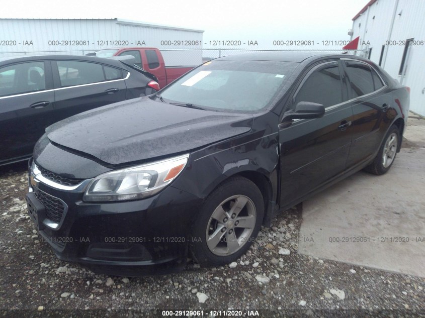 CHEVROLET MALIBU 1G11B5SL8FF102437