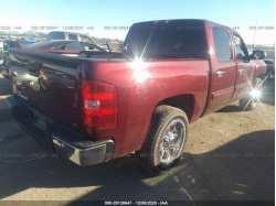 CHEVROLET SILVERADO 1500 3GCPCSE03DG102260
