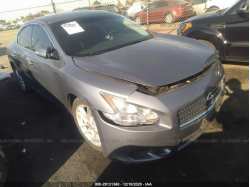 NISSAN MAXIMA 1N4AA5AP1AC837050