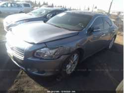 NISSAN MAXIMA 1N4AA5AP1AC837050
