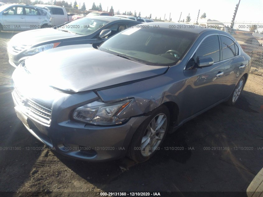 NISSAN MAXIMA 1N4AA5AP1AC837050