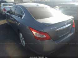 NISSAN MAXIMA 1N4AA5AP1AC837050