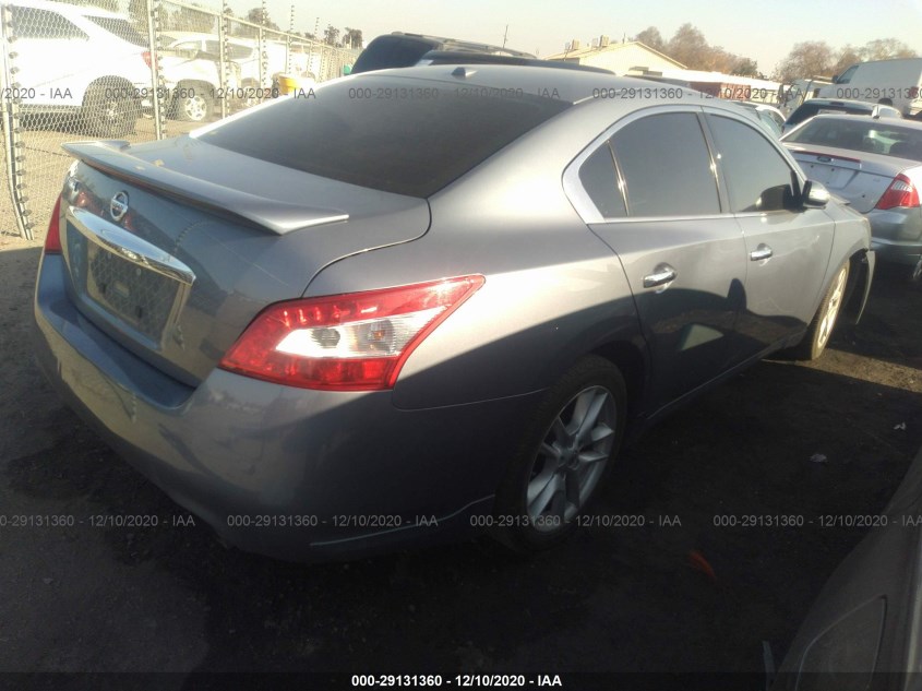 NISSAN MAXIMA 1N4AA5AP1AC837050