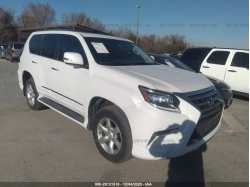 LEXUS GX 460 JTJBM7FX2G5136215