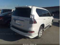 LEXUS GX 460 JTJBM7FX2G5136215