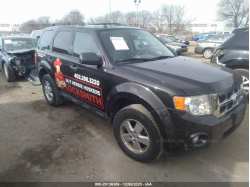 FORD ESCAPE 1FMCU0D76BKB33857