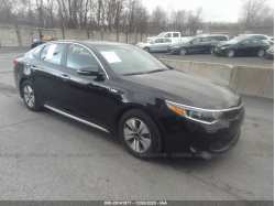KIA OPTIMA HYBRID KNAGT4LE8J5020552