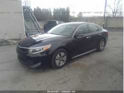 KIA OPTIMA HYBRID KNAGT4LE8J5020552