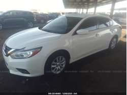 NISSAN ALTIMA 1N4AL3AP6HN358927