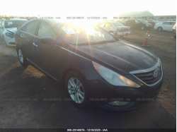 HYUNDAI SONATA 5NPEB4AC7DH553737