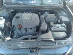HYUNDAI SONATA 5NPEB4AC7DH553737